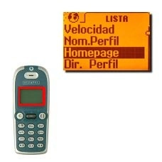 Vaya a Homepage y pulse OK.