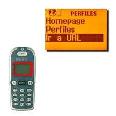 Vaya a Ir a URL y pulse OK.