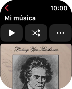 Pulsa el icono de reproducción para iniciar la reproducción.