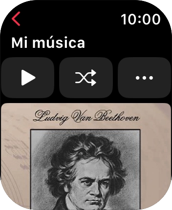 Pulsa el icono de reproducción para iniciar la reproducción.