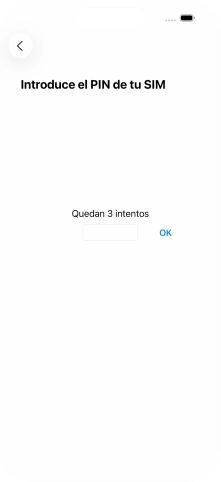 Si es necesario desbloquear la tarjeta SIM, introduce el código PIN y pulsa OK.