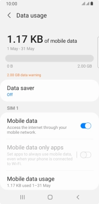 The total data usage is displayed. The total data usage is displayed.