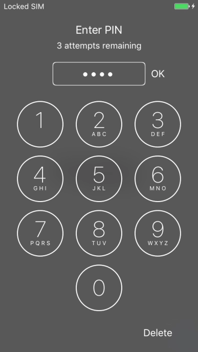 Key in your PIN and press OK.