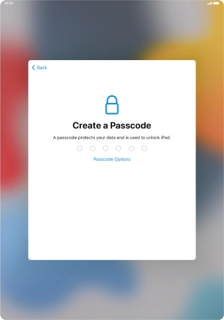 Press Passcode Options.