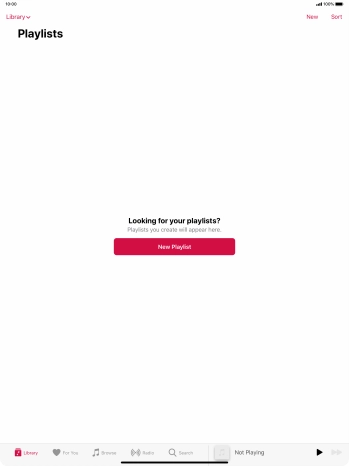 Press New Playlist.