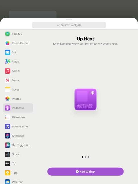 Slide your finger right or left on the screen to select the required widget size.