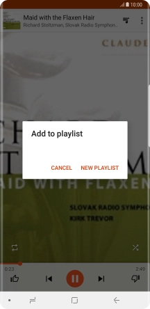 Press NEW PLAYLIST.