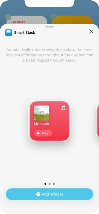 Slide your finger right or left on the screen to select the required widget size.
