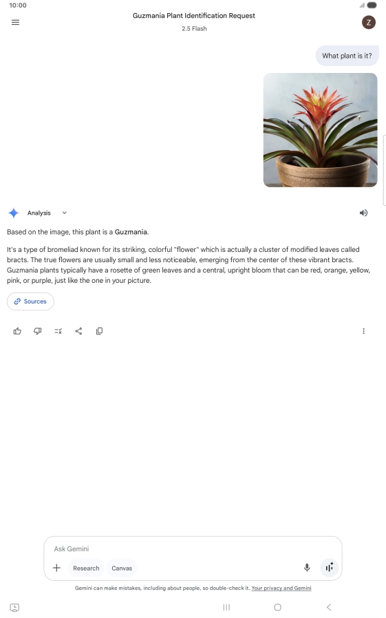 Follow the instructions on the screen to type or speak the required question. You can also attach pictures or documents and ask questions to them.