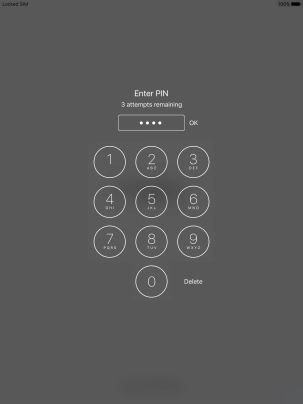 Key in your PIN and press OK.