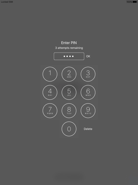 Key in your PIN and press OK.