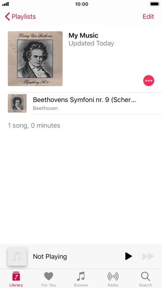 Go to the required category or playlist and press the required audio file.
