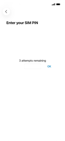 If your SIM is locked, key in your PIN and press OK.