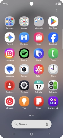Press Gemini. If prompted, follow the instructions on the screen to turn on the function.