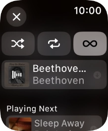 Press the shuffle icon to turn the function on or off.