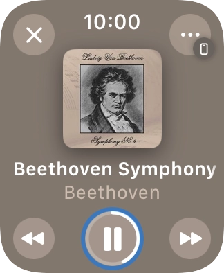 Turn the Digital Crown to select the required volume. Turn the Digital Crown to select the required volume.