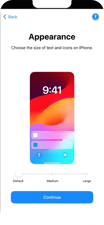 Select the required text and icon size on your phone and press Continue.