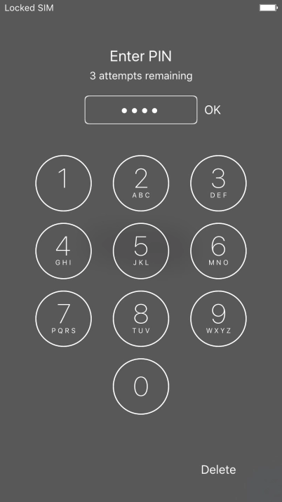 Key in your PIN and press OK.
