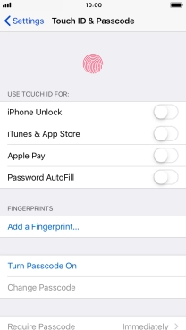 Press Turn Passcode On and key in a phone lock code of your own choice twice.