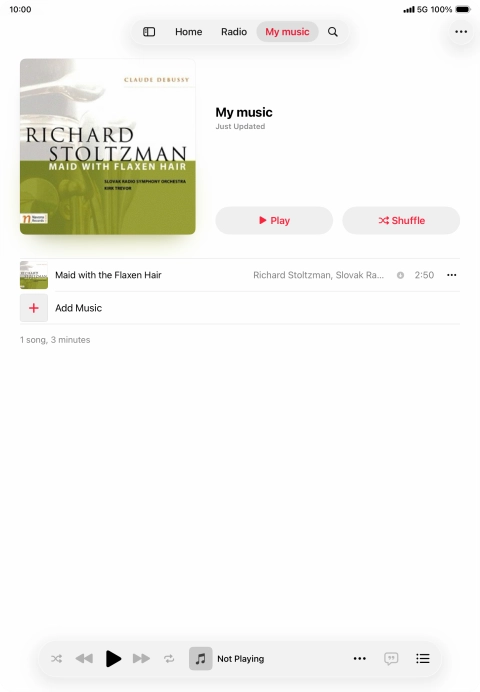 Go to the required category or playlist and press the required audio file.