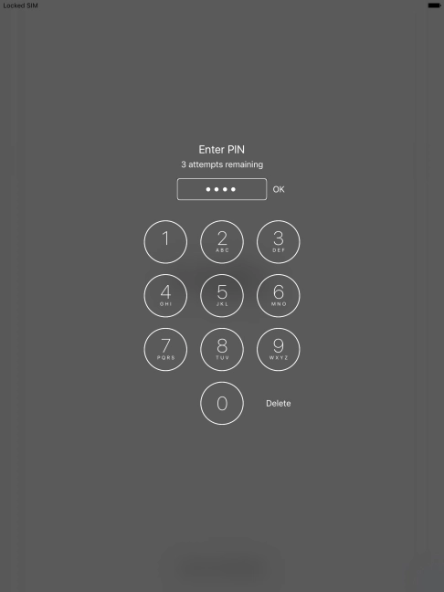 Key in your PIN and press OK.