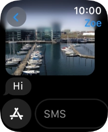 Press SMS.