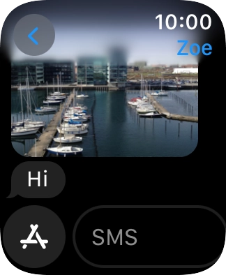 Press SMS.