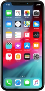Apple iPhone X