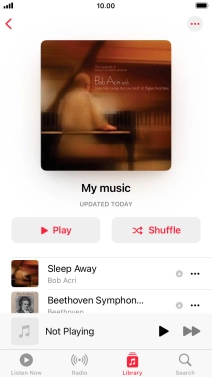 Go to the required category or playlist and press the required audio file.