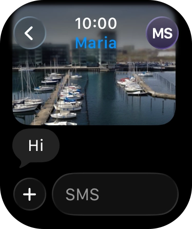 Press SMS.