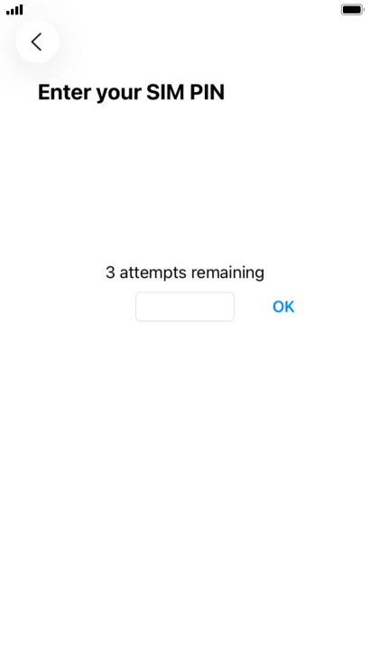 If your SIM is locked, key in your PIN and press OK.