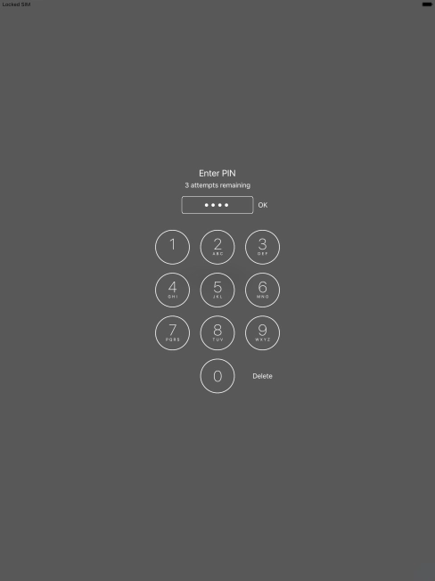 Key in your PIN and press OK. 