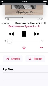 Press Shuffle to turn the function on or off.