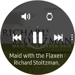 Press the volume icon. Press the volume icon.