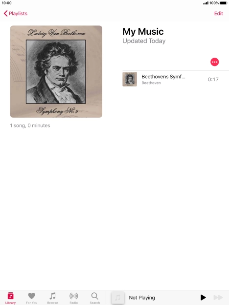 Go to the required category or playlist and press the required audio file.