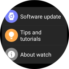 Press Software update.