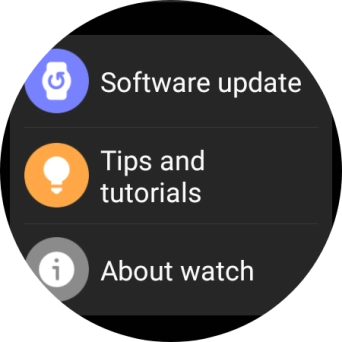 Press Software update.