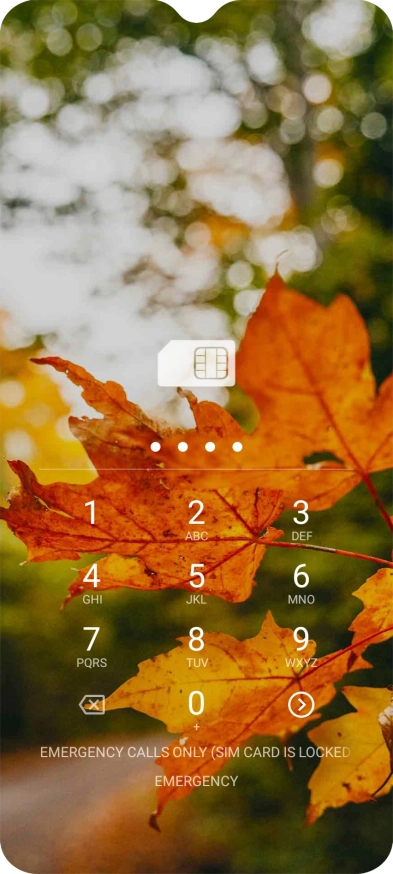 If you're asked to key in your PIN, do so and press arrow right.