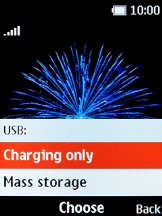 Select Mass storage. Select Mass storage.