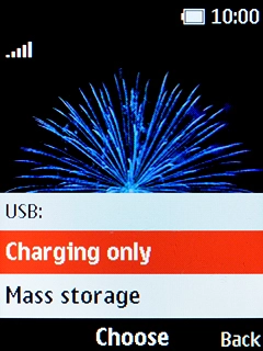 Select Mass storage. Select Mass storage.