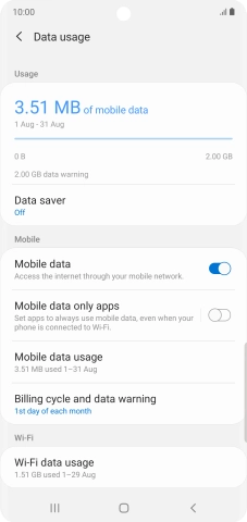The total data usage is displayed. The total data usage is displayed.