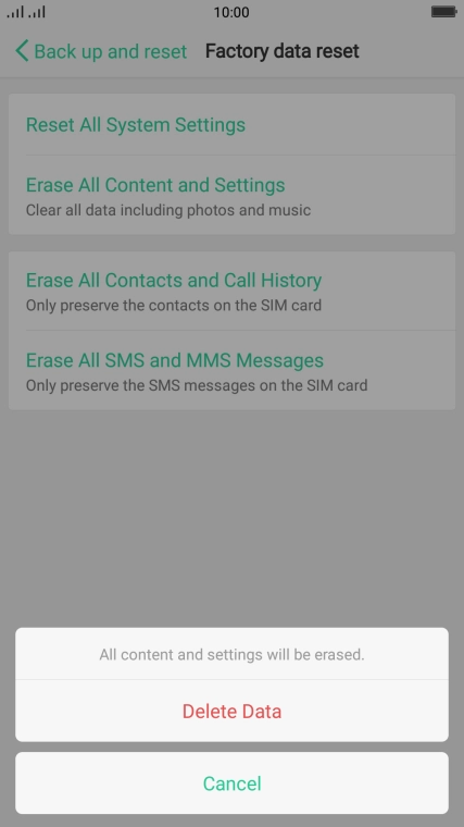 Press Delete Data.