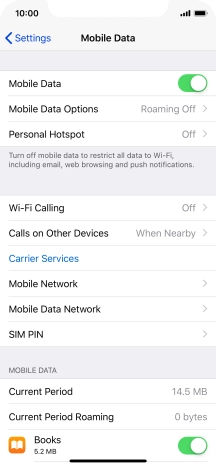 The total data usage is displayed next to Current Period. The total data usage is displayed next to Current Period.
