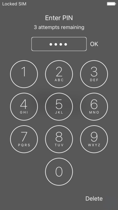 Key in your PIN and press OK.