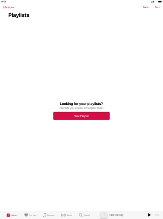 Press New Playlist.