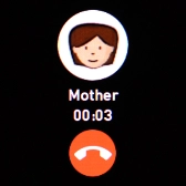Press the end call icon to end the call and return to the home screen.