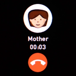 Press the end call icon to end the call and return to the home screen.