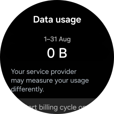 The total data usage is displayed. The total data usage is displayed.