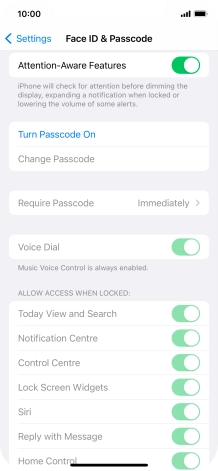 Press Turn Passcode On and key in a phone lock code of your own choice twice.