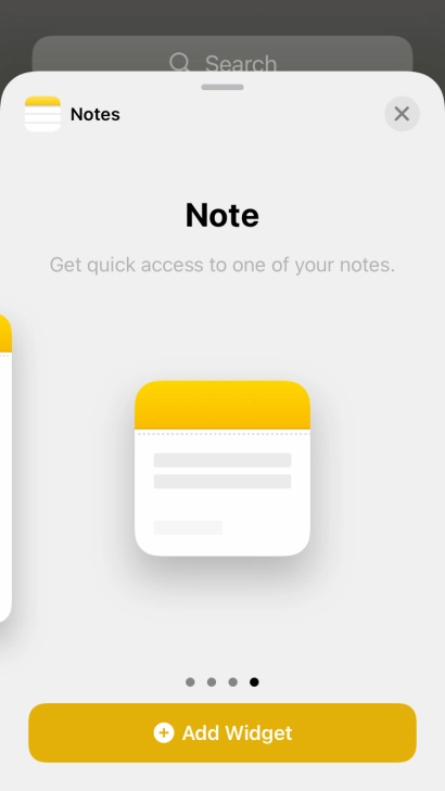 Slide your finger right or left on the screen to select the required widget size.